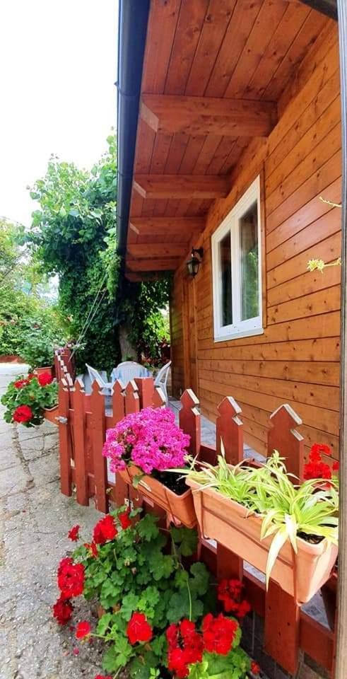 Hotel Camping Onda Azzurra Ortona Exterior foto